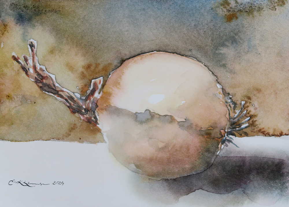 Onion exercise 1