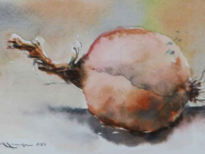 Onion exercise 2