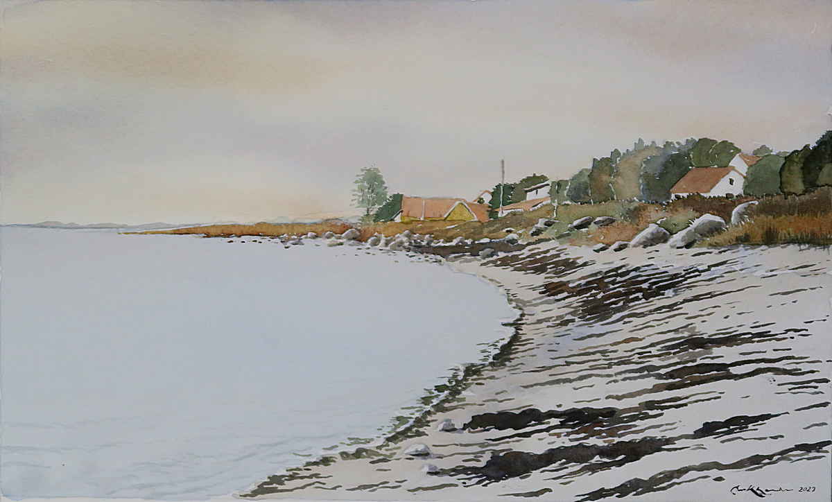Beach with rocks