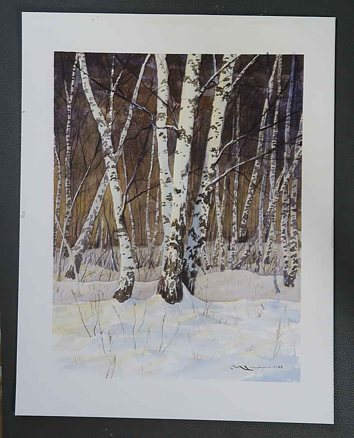 Birches