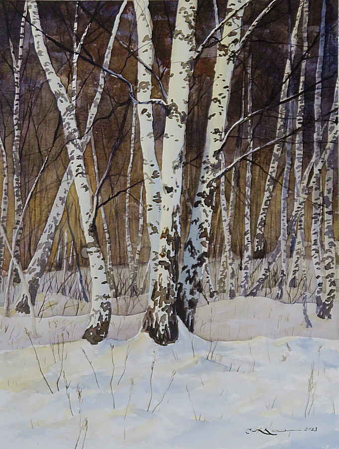 Birches